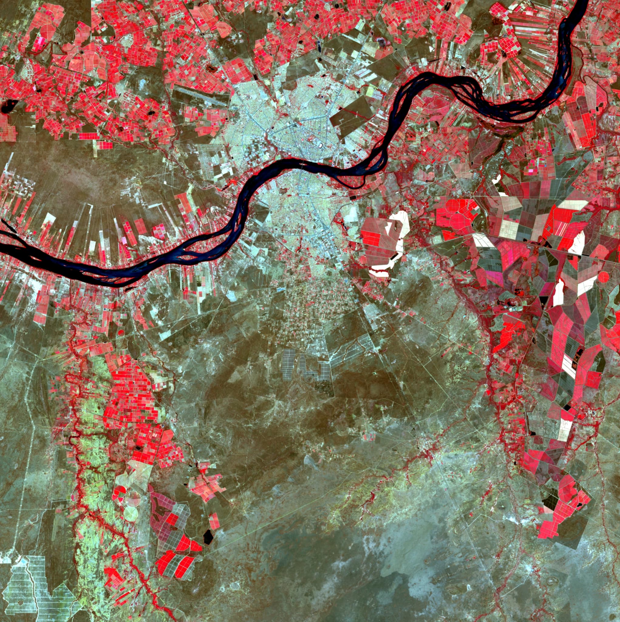 Imagem de satélite Sentinel-2 da Caatinga em falsa-cor, infravermelho próximo
